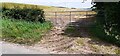 Field gateway from east side of rural road at Langrigg in CA16 6PT