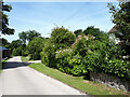 Cuckoo Lane, approaching Chaffeigh Farm in TA20 4NT
