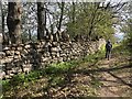 Footpath alongside a dry stone wall in LL15 2PA