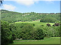 Hillside north of the River Lyon in PH15 2LH