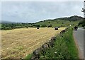 Fields and Grassland near Upper Hulme in ST13 8TY