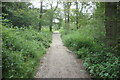 Path in Sherrardspark Wood in AL8 7QU