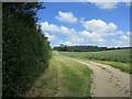 Farm track near Flitcham in PE31 6BX