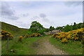The Weardale Way approaching Mill Cottage by the Bollihope Burn in DL13 2SU
