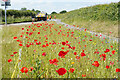 Poppies and road works in DE13 9QH