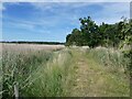Railway path beside the Blythburgh Marshes in IP19 9LP