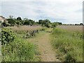 Railway path beside the Blythburgh Marshes in IP19 9LP