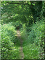 A short public footpath in Cefn Cribwr in CF32 0BA