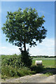 A bale and a tree near Whelford in GL7 4EA
