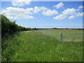 Grass field with uncut verge in PE31 6BB