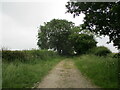Track off Middlesykes Lane, Grimoldby in Grimoldby