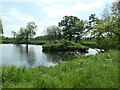 Pond with an island, south-east of Brook End Farm in B78 3UH