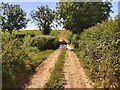 Flooded Farm Track in EX15 2NH