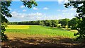 Fields near Newham Green Farm in RG27 9AJ