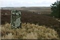 Stone Post, Near Ray Crag in NE19 2RQ
