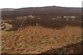 Fence Heading up to Cairn on Long Crag in NE19 2RQ