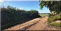 Farm Track near Wackerfield in DL2 3AR
