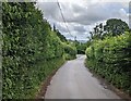 Hedge-lined descent into Longtown, Herefordshire in HR2 0LG