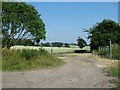 Field gate near Holytree Farm in IP17 3JW