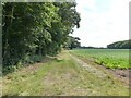 Farm track beside Church Plantation in NR12 8YS