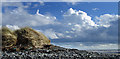 Sand dune and beach near the mouth of the Luce in DG8 0NH