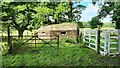 Pillbox in corner of field in RG27 8HY