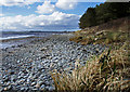The Bents shore near Glenluce in DG8 0NH
