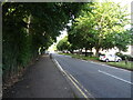 Hall Road, Wombwell Park in DA11 8FD