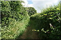 Path B43 towards Brading Down Road in PO36 0ET