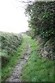 Footpath to the obelisk on Dennis Hill in PL28 8DP