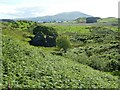 Luing - Achafoll - Ruined mill in PA34 4TY
