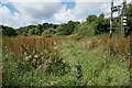 Path at Newchurch Moors Nature Reserve in PO36 0EZ