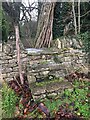 Stone Stile, Cobberley GS2648 in GL53 9NJ