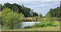Pond at Ashridge Manor Farm in RG40 5BA