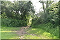 Footpath through hedge in RH1 4JP