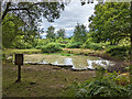 Hopeful Pond, Headley Heath in KT18 6NR