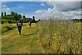 Runners in the wildflower area at Upton Court parkrun in SL3 7NH