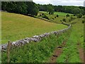 Drystone wall in Woo Dale in Green Fairfield