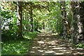 Path to Stonebridge Lane in TN22 5RT
