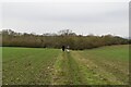 Bridleway across field in CB10 1RJ