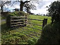 Gate near Trebeath in PL15 8RX