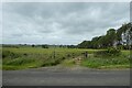 Gate and field beside the B1340 in NE66 3RX