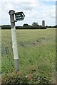 Footpath sign in CO10 9SH