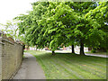 Path along Adamsfield, Cheshunt in Broxbourne District (B)