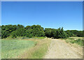 Heydon: footpath from Chrishall in SG8 8QR