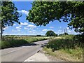 Westwood Road, with power lines coming from the solar power farm in BA14 9BR