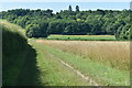 Field edge path on the course of the Roman Road in BH21 5DZ