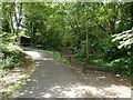 Path junction on the old Consett and Sunderland railway in DH9 8NR