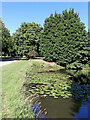 Pond and estate road near Wrottesley Hall, Staffordshire in WV8 2HU
