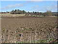 Ploughed field near Terrace Farm in HR1 4QL
